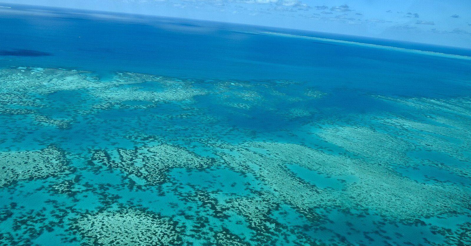 Aerial view over the turquoise coral formations of the Great Barrier Reef off Cairns