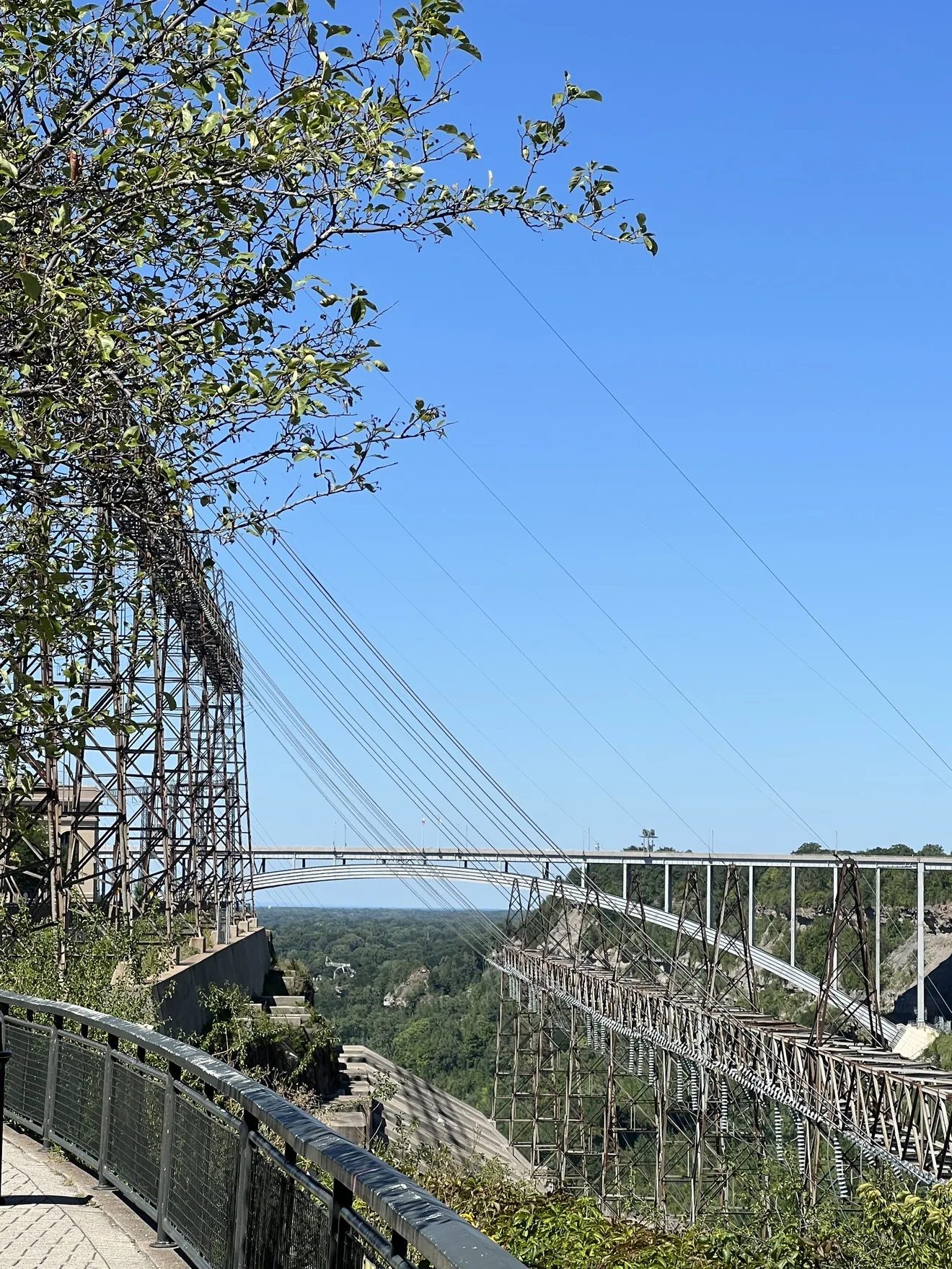 Un puente de arco y torres de transmisión cruzando la garganta del Niágara