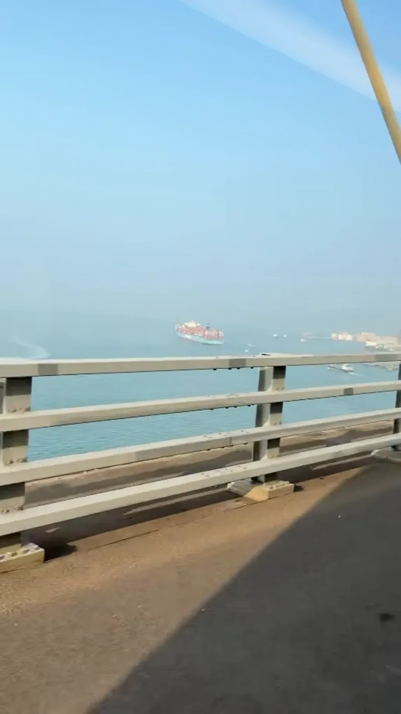 Cable-stayed bridge and freighters on the water