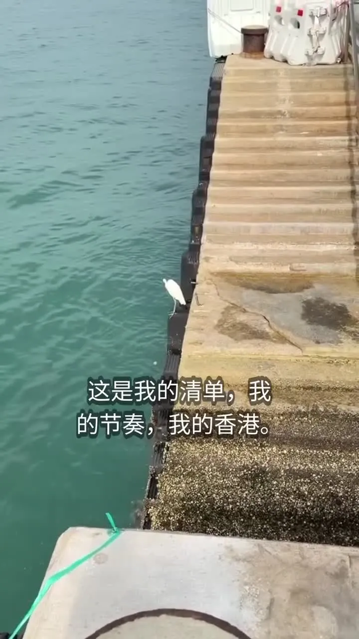 An egret skimming over the water