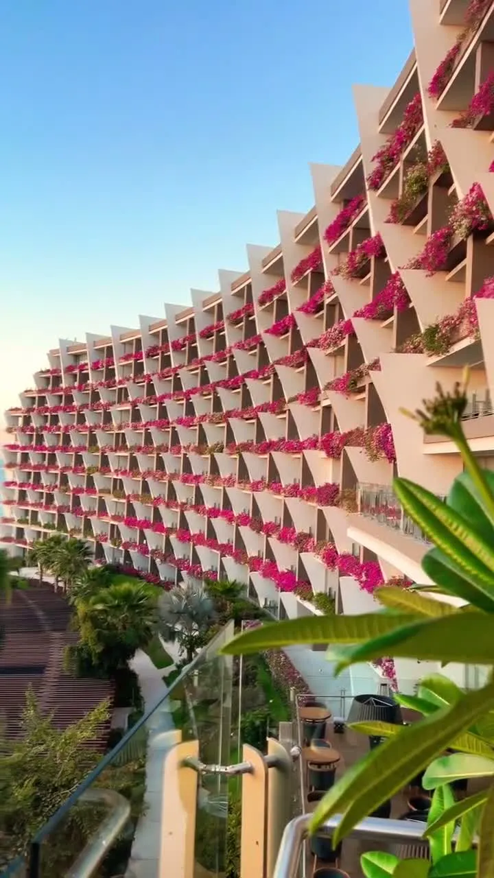 A wall of bougainvillea cascading over the balconies of a resort building in Los Cabos, in warm late light