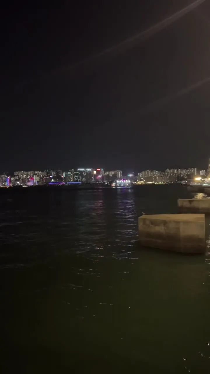 El horizonte de neón al otro lado del puerto de noche, con bloques de hormigón a la orilla del agua en primer plano